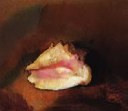 Odilon Redon The Shell oil painting